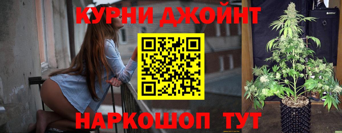Бошки Шишки MAZAR Выборг